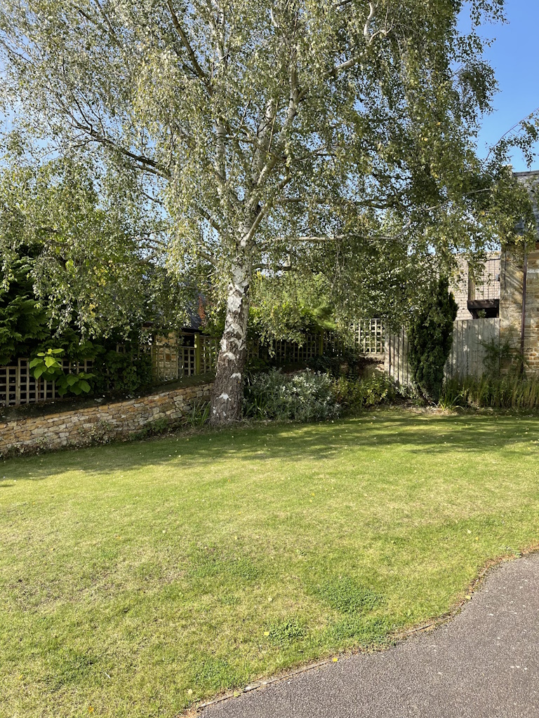 Garden_2