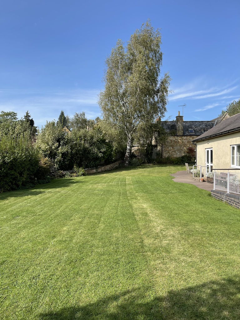 Garden_3