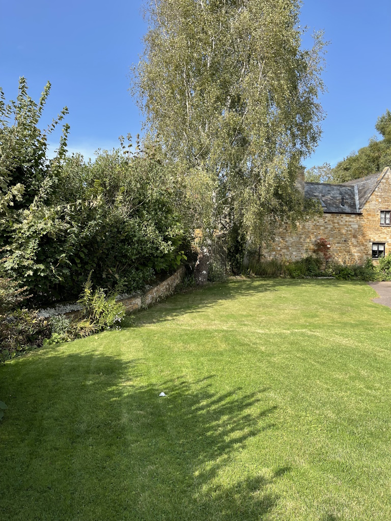 Garden_5